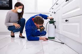 Best Emergency Pest Control  in Carlinvle, IL