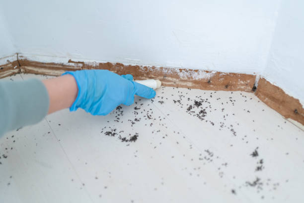 Best Commercial Pest Control  in Carlinvle, IL